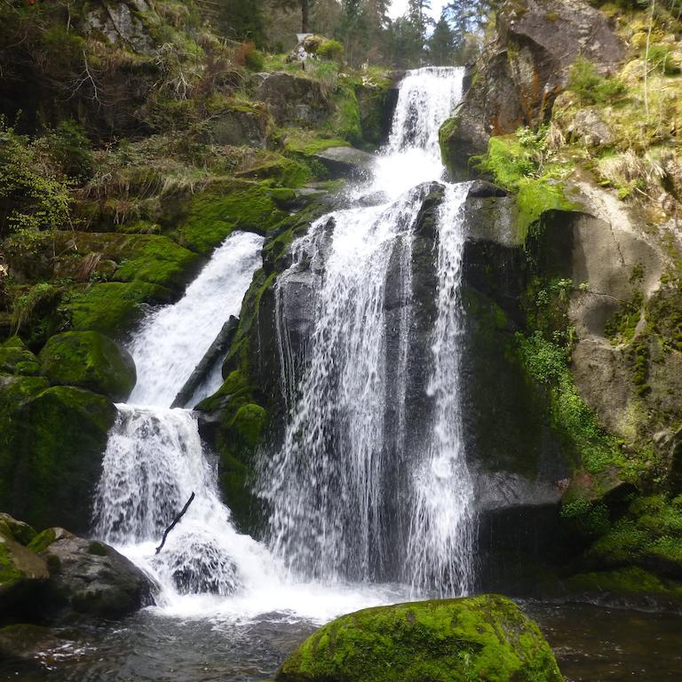 Andreas Daire Creglingen Dış mekan fotoğraf